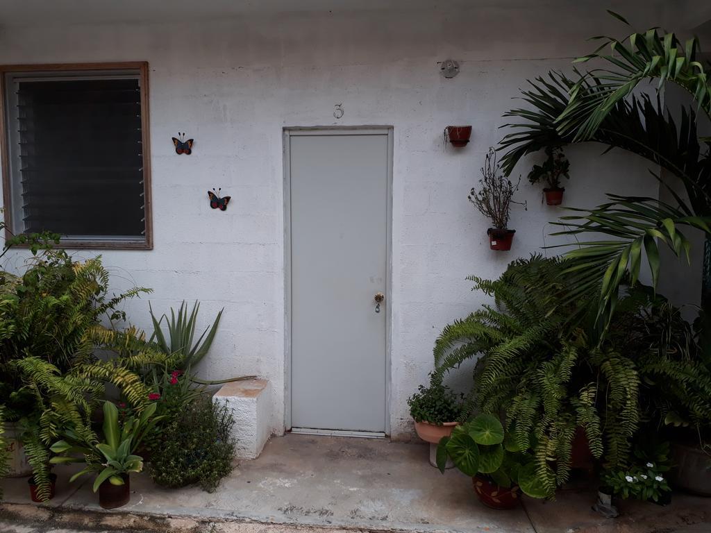 דירות ואיאדוליד Casa Azul מראה חיצוני תמונה