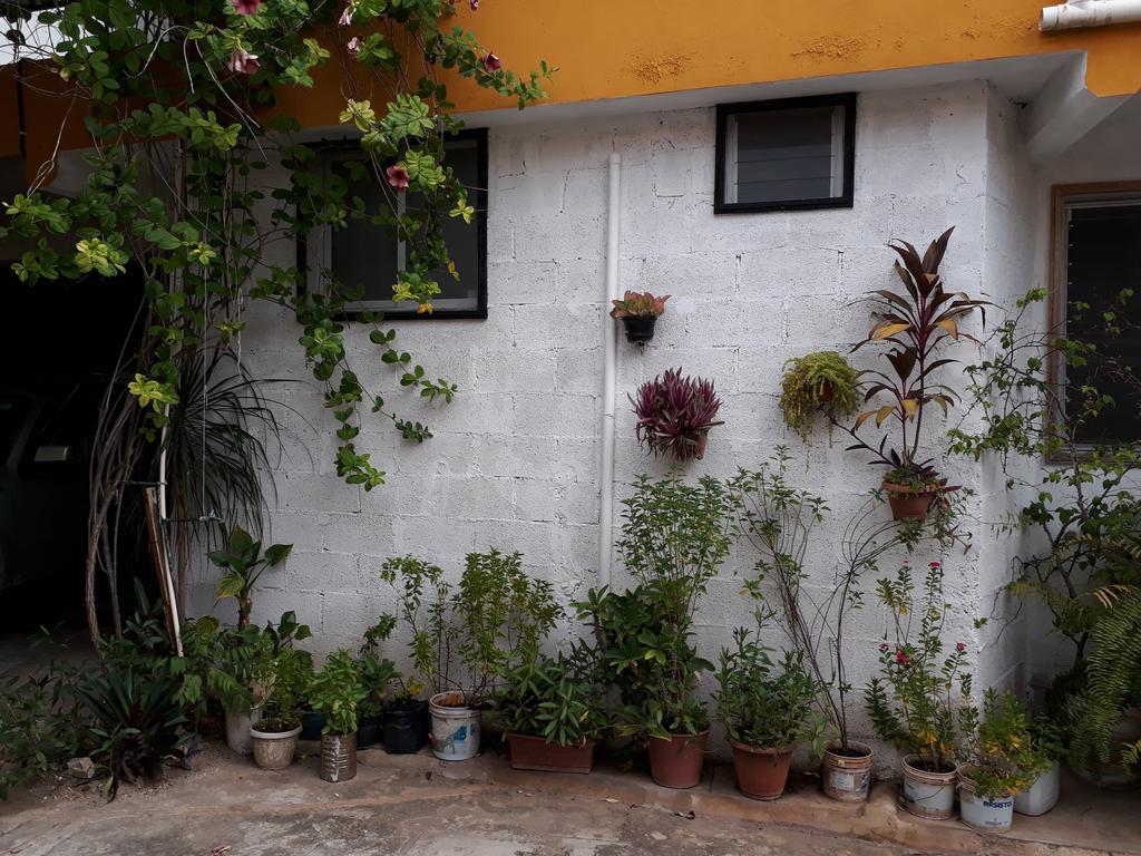 דירות ואיאדוליד Casa Azul מראה חיצוני תמונה